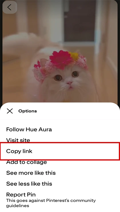 Copier le lien Pinterest (Pin)