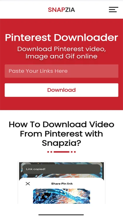 Coller le lien Pinterest dans le téléchargeur