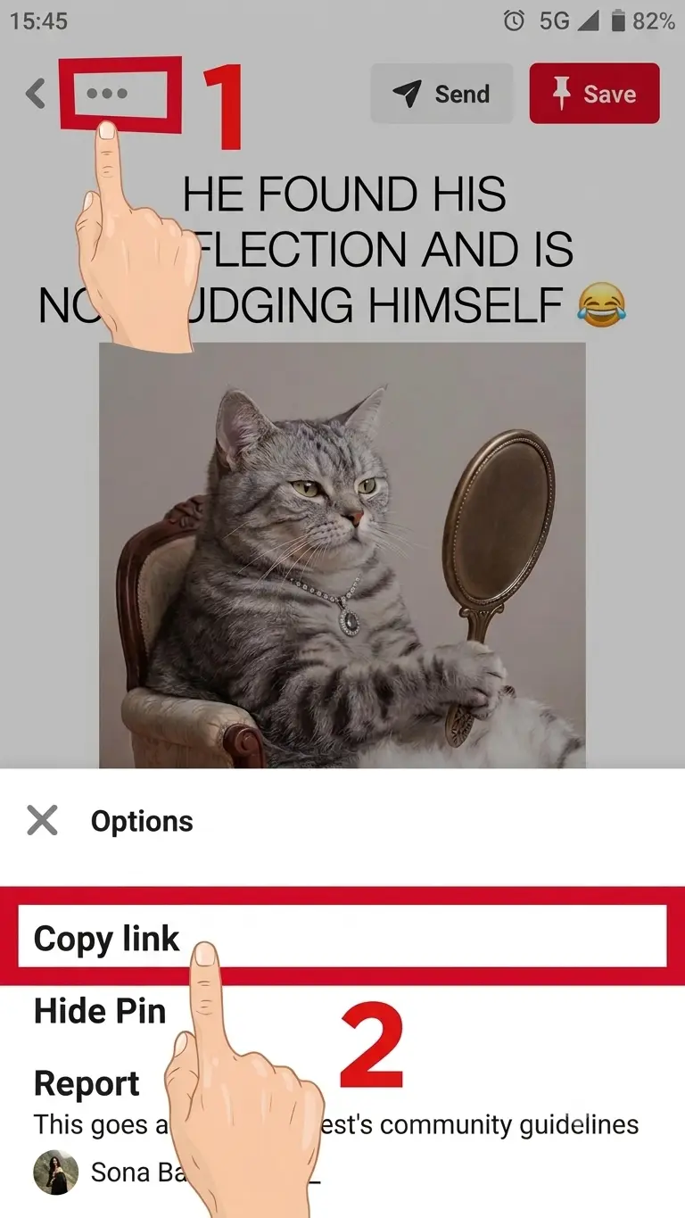 Copy The Pinterest Video Link