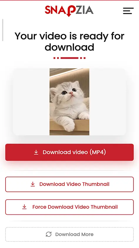 3. Save the video
