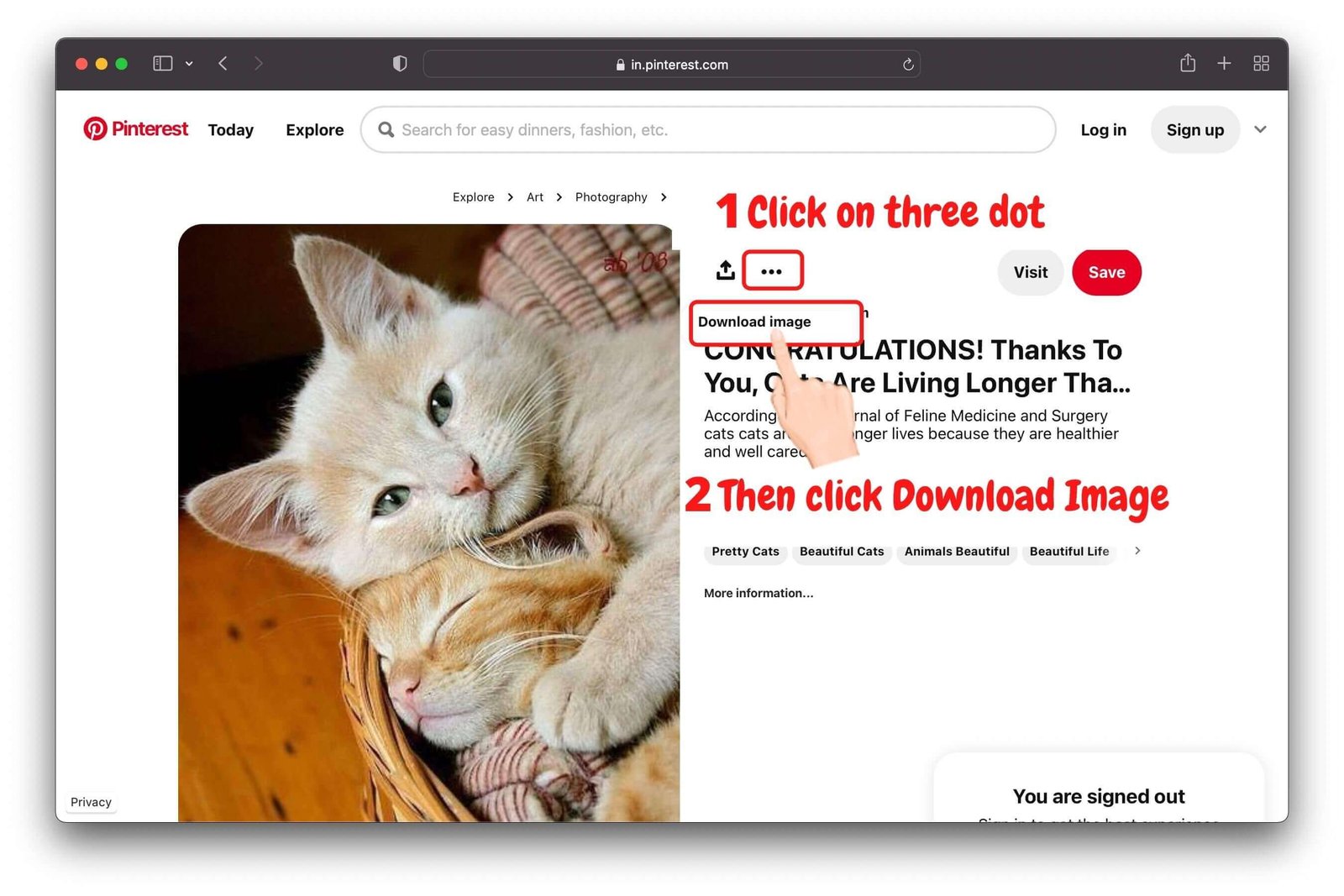 Pinterest GIF Downloader